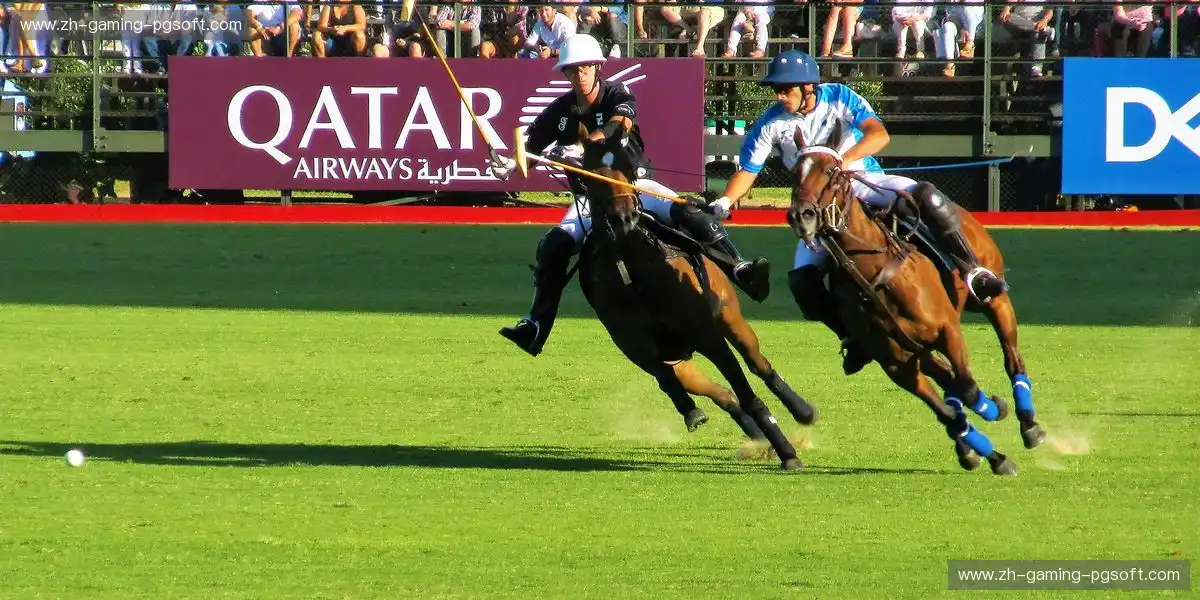 赛事执行团队构成更加专业